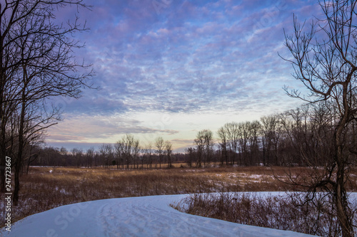 Winter snow at dusk fills the sky with beautiful tones of violet over a wooded field