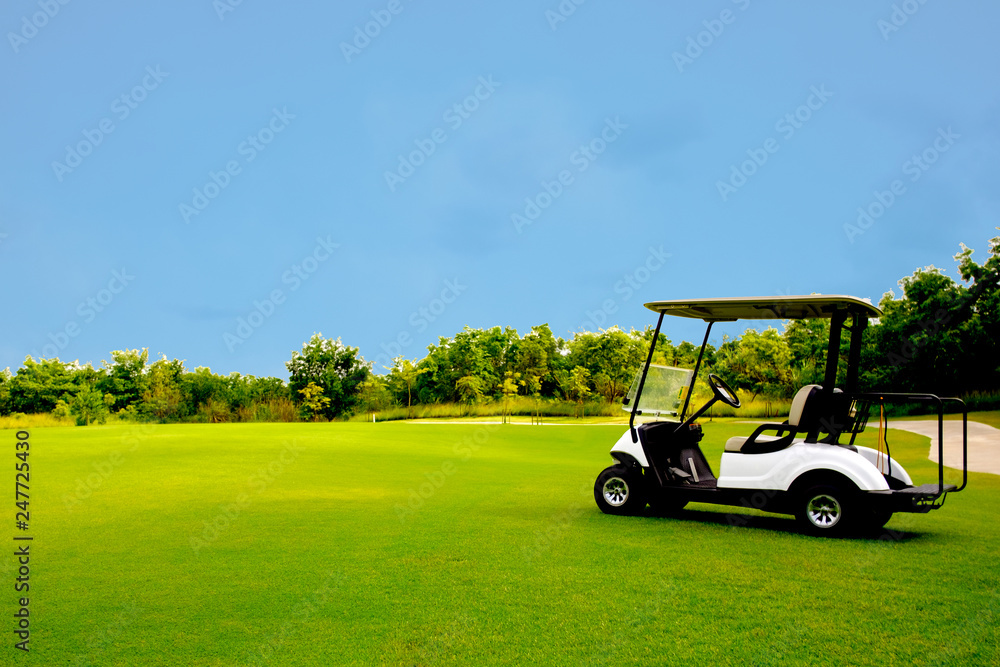 Golf cart car in fairway of golf course with fresh green grass field and cloud blue sky and tree
