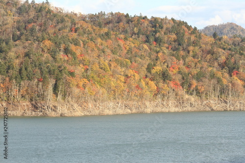 紅葉と立ち枯れ