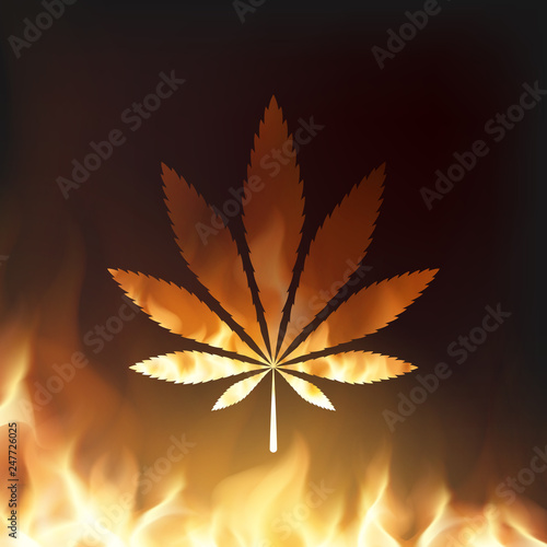 Green cannabis leaf in fire isolated on black background. Design of vector burning marihuana