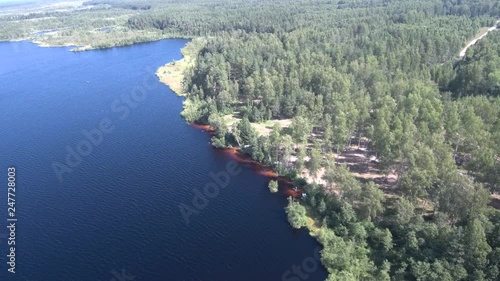 Wallpaper Mural forest lake with dark brown water on a sunny summer day, aerial video shooting Torontodigital.ca