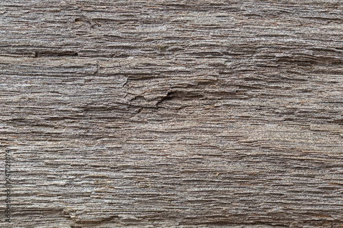 Very Old Wood Background, closeup. wood texture . old and very aged wood texture close up. backgrounds, texture is very old wood in the process of prolonged natural decomposition and weathering. 