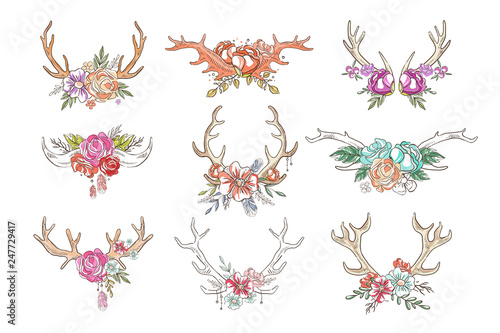 Deer horns with flowers and plants set, hand drawn floral composition with antlers vector Illustrations on a white background