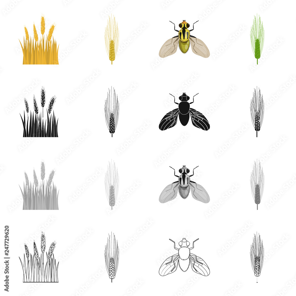 Vector illustration of agriculture and farming icon. Collection of agriculture and plant  vector icon for stock.
