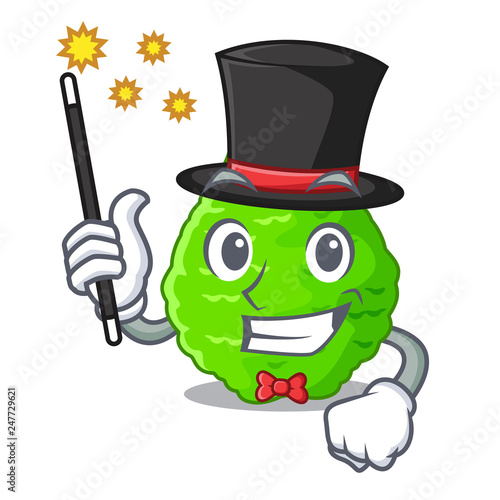 Magician Lime kaffir is isolated with cartoons