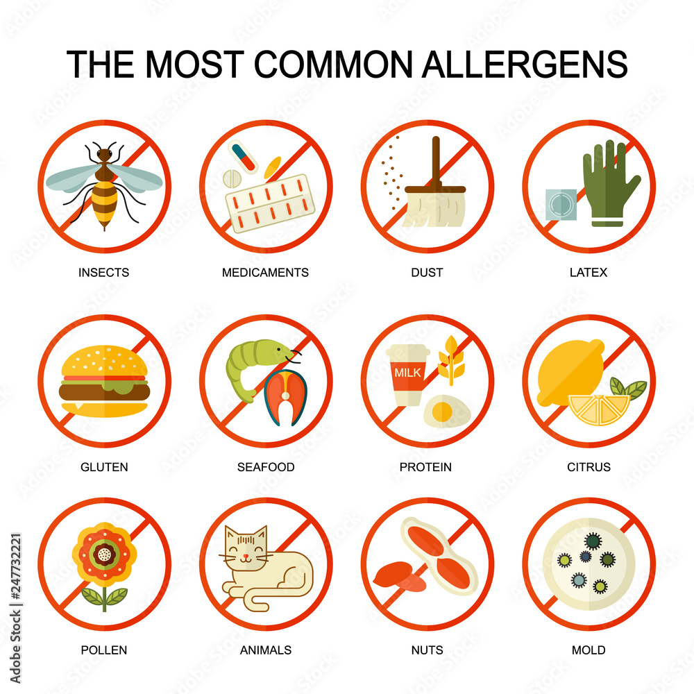Allergy vector flat style illustration. The most common allergens icons set. 