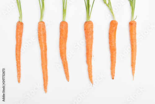 top view of fresh ripe raw carrots arranged in row isolated on white