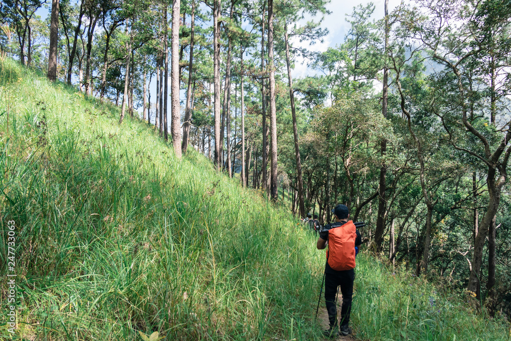 Hikers walking in tropical rainforest Hikers walking in tropical rainforest