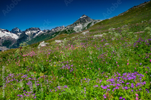 Beautiful view of alpine meadows in the Caucasus mountains. © Georgys