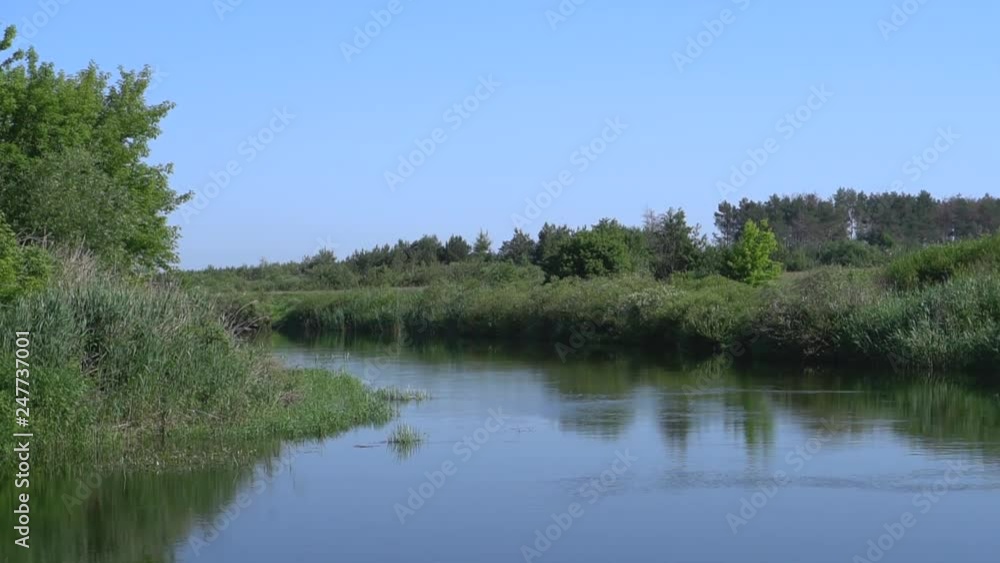 Forest river summer landscape. Spring meadow field Lake. View during fishing and recreational. Wildlife Preserve. Stock video Forest river summer landscape. Spring meadow field Lake. View during fishing and recreational. Wildlife Preserve. Stock video