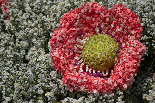 A flower made of flowers photo