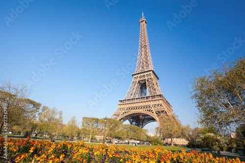 Eiffel Tower with spring trees in Paris  France