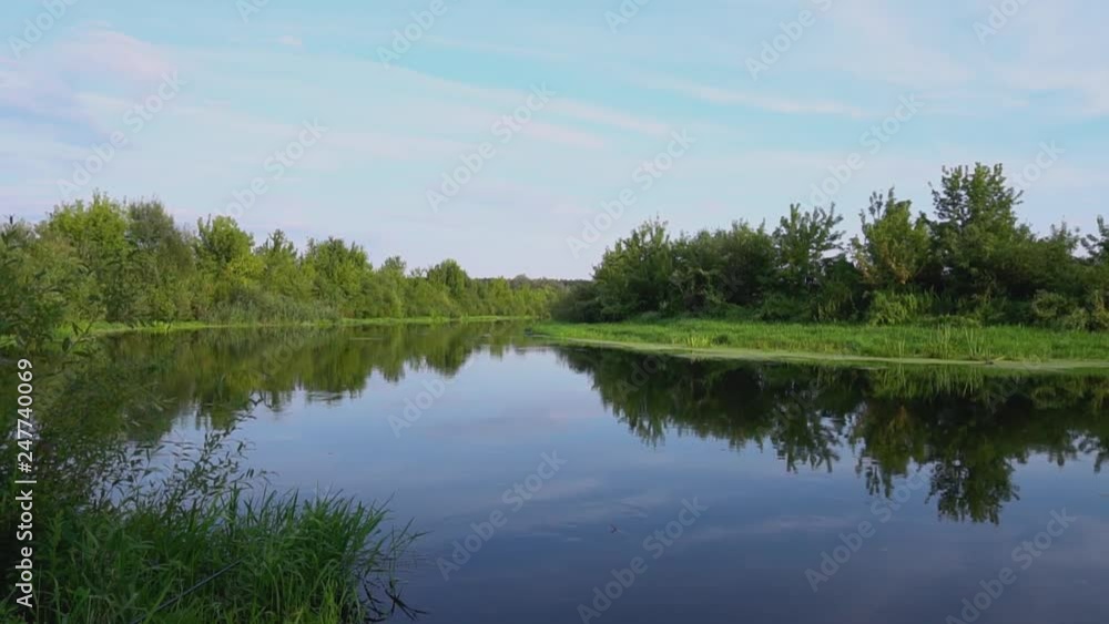 Forest river summer landscape. Spring meadow field Lake. View during fishing and recreational. Wildlife Preserve. Stock video Forest river summer landscape. Spring meadow field Lake. View during fishing and recreational. Wildlife Preserve. Stock video