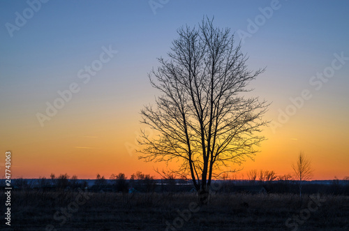 Evening Russian landscape