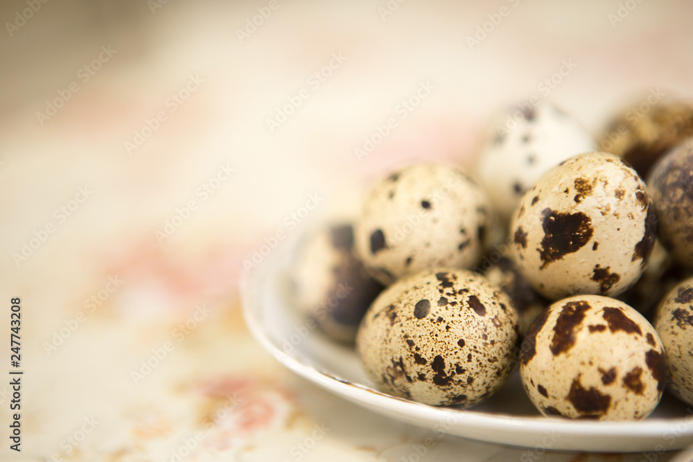 The eggs of quail. The eggs of quail.