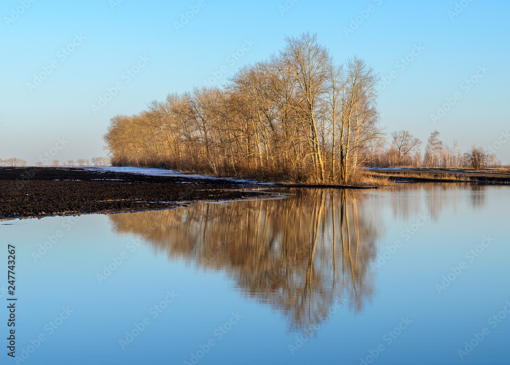 Obraz premium Landscape flood Spring