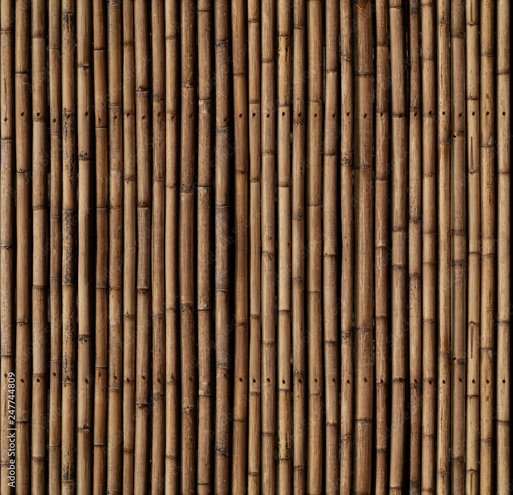 Bamboo sticks texture. The elements from top match with the bottom Bamboo sticks texture. The elements from top match with the bottom