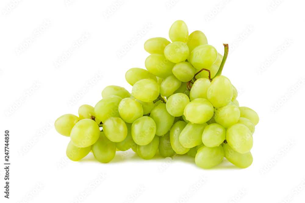 Grape branch laying isolated on white background
