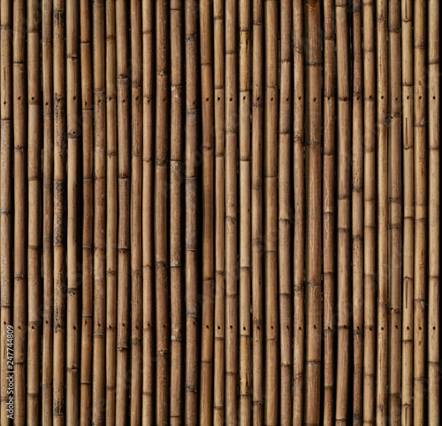 Bamboo sticks texture. The elements from top match with the bottom