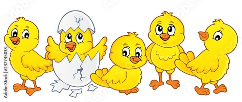Cute chickens topic image 1