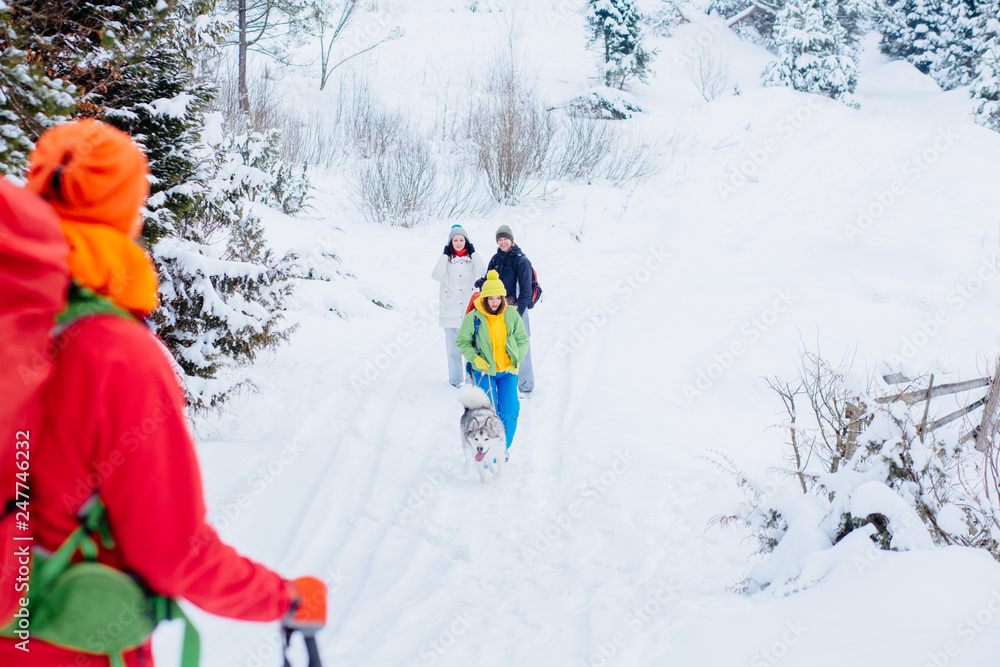 Group of young people with dog hiking in winter mountains. Man and woman and their friends trekkers traveling on snow trail in forest.