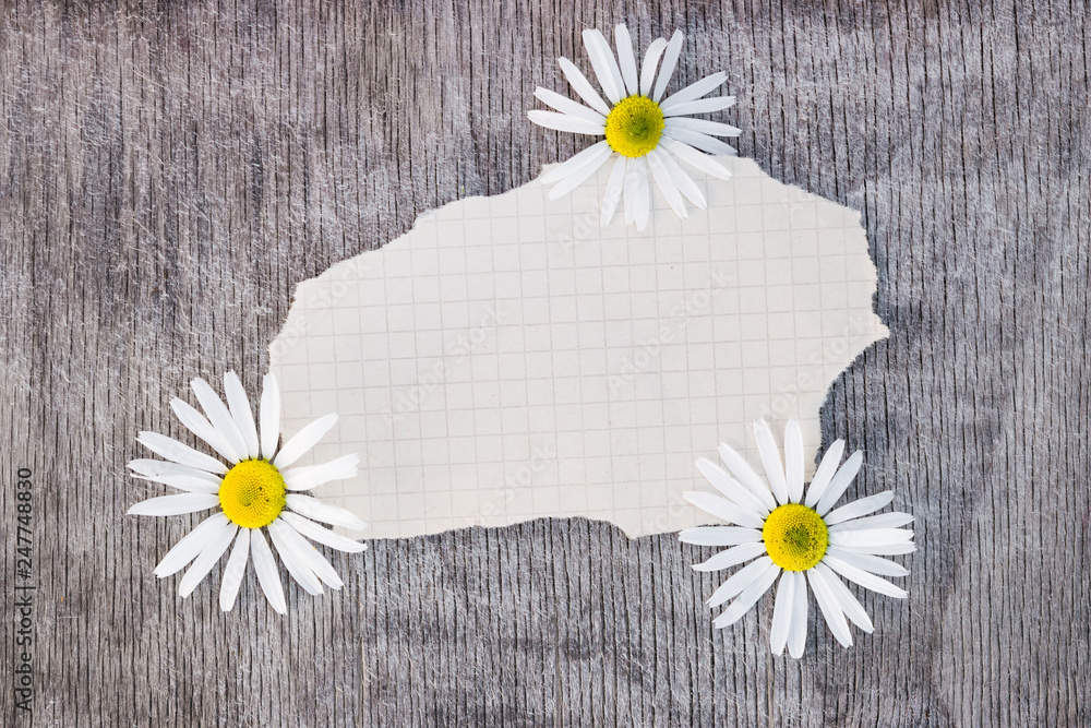 Obraz premium Bouquet of daisies and blue flowers of cucumber grass on a wooden background vintage, flat lay, copy space, mock up