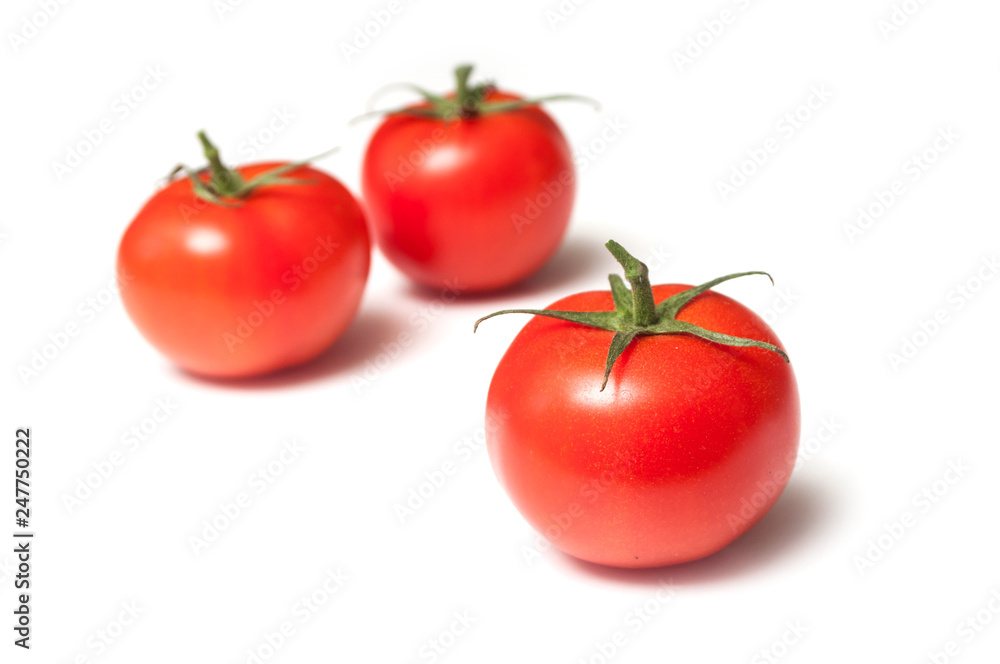 closeup of fresh tomatoes on white background closeup of fresh tomatoes on white background