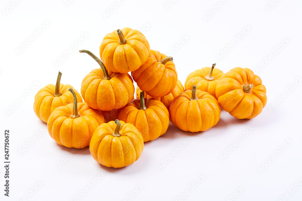 fresh pumpkins fresh pumpkins