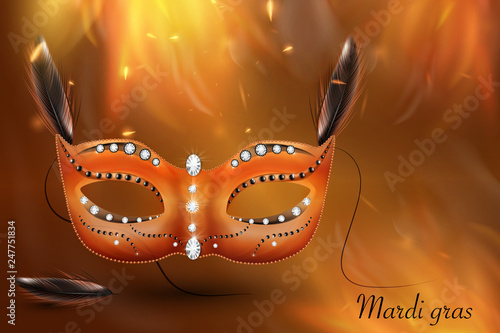 Carnival mask with feather, ribbon isolated on background
