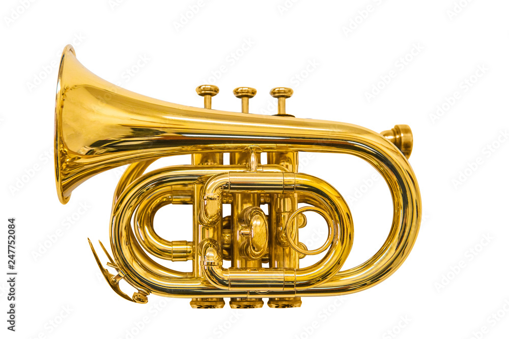 Obraz premium pocket trumpet isolated on white