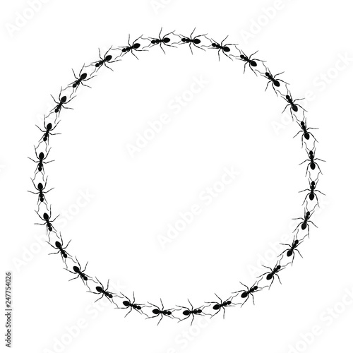 Frame from ants going in a circle. Path ants on circle. Ant trails. Vector illustration