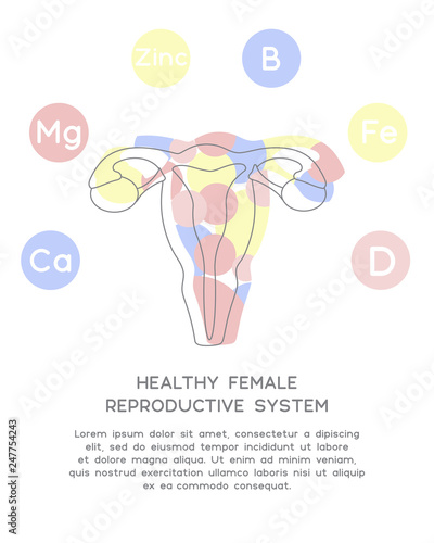 Minerals and vitamins for healthy female reproductive system. Illustration of vitamins B, D, Zinc, Fe, Mg, Ca in a rounded scheme. Abstract vector banner with the place for your text. 