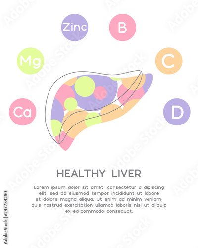 Minerals and vitamins for healthy liver. Illustration of vitamins B, C, D, Zinc, Mg, Ca in a rounded scheme. Abstract vector banner with the place for your text