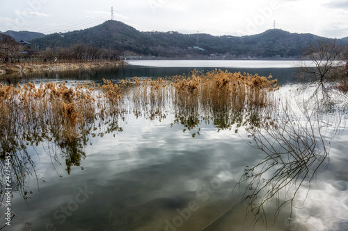 Geumpyeong Reservoir Park photo