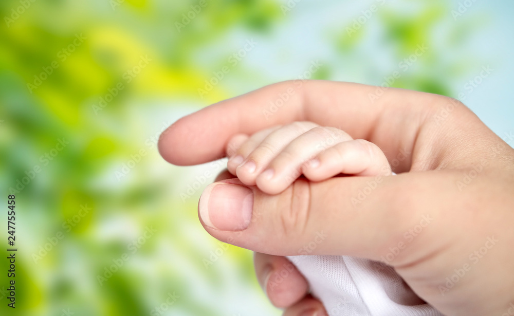 family, motherhood, parenting, people and child care concept - close up of mother and newborn baby hands over green natural background
