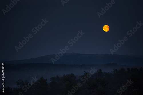 Summer white night and foggy landscape with full moon