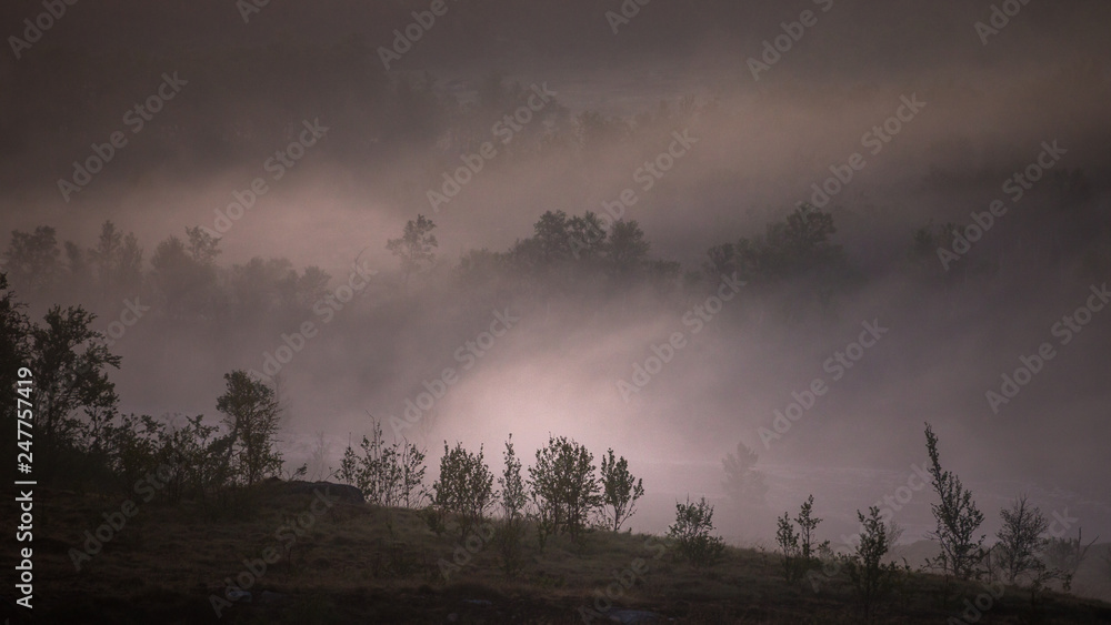 Naklejka premium Foggy white night in the area of Nordgruvefeltet, Norway.