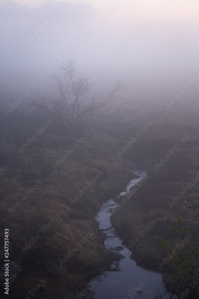 Foggy white night in the area of Nordgruvefeltet, Norway. Foggy white night in the area of Nordgruvefeltet, Norway.