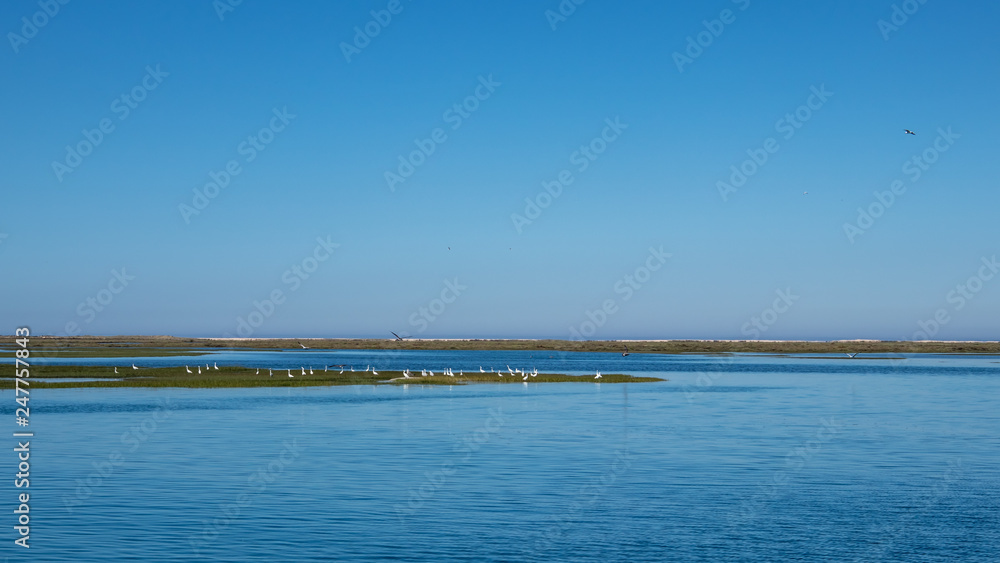 Natural park of Natural park of