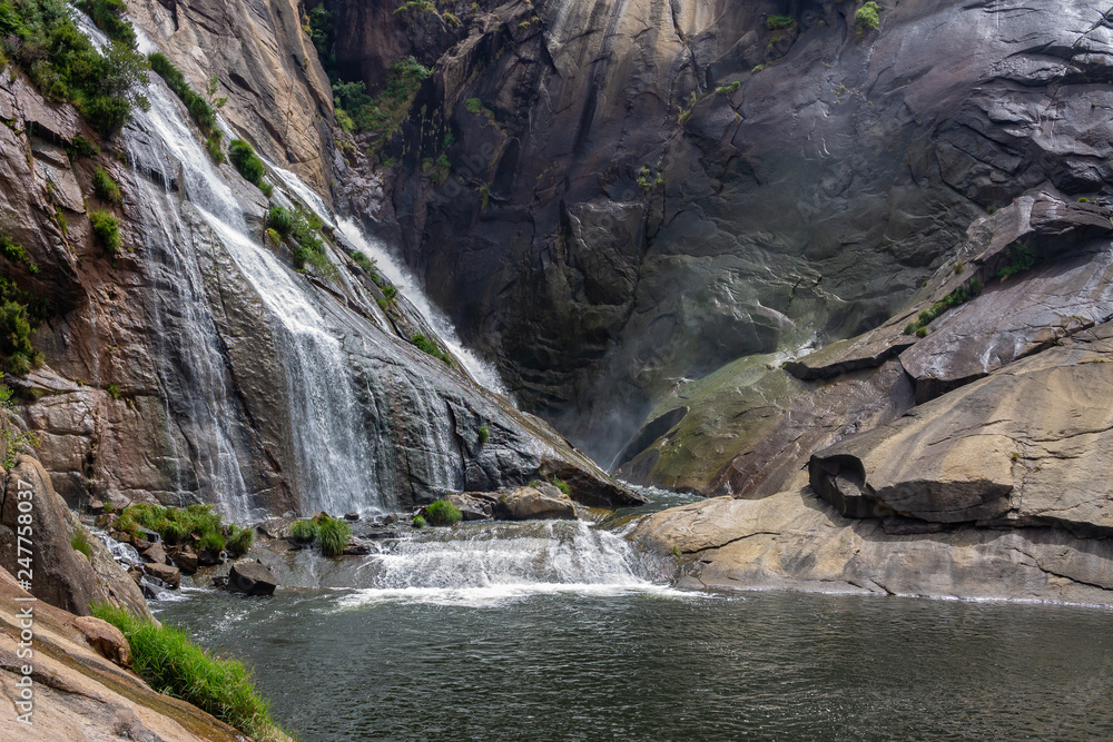 Naklejka premium peluche infantil con capa