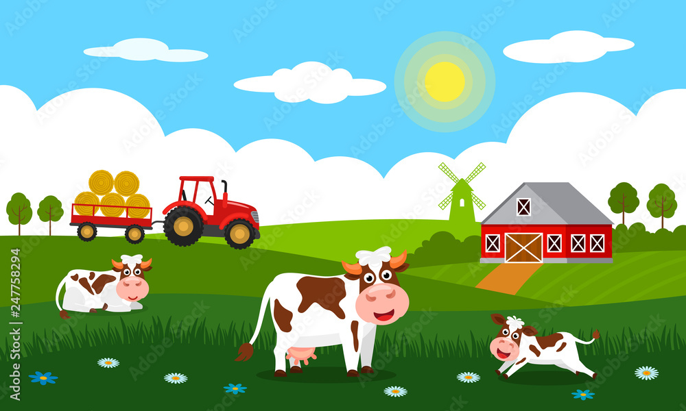 Cute cows and funny calves graze on green grass against the backdrop of a rural summer landscape, farm, mill and red tractor with a trailer. Cute cows and funny calves graze on green grass against the backdrop of a rural summer landscape, farm, mill and red tractor with a trailer.