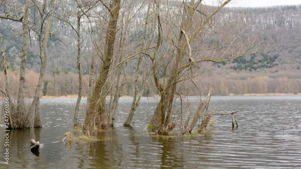 the calm of a mountain lake water the calm of a mountain lake water