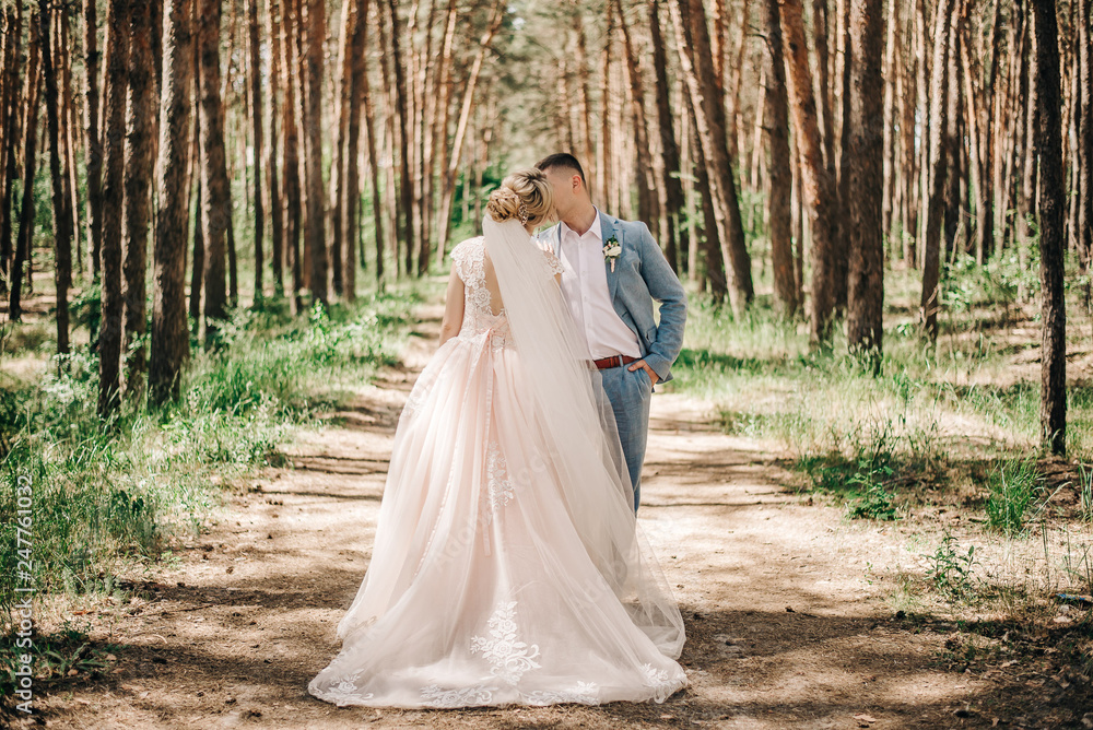 bride and groom kiss in the middle of a pine forest bride and groom kiss in the middle of a pine forest
