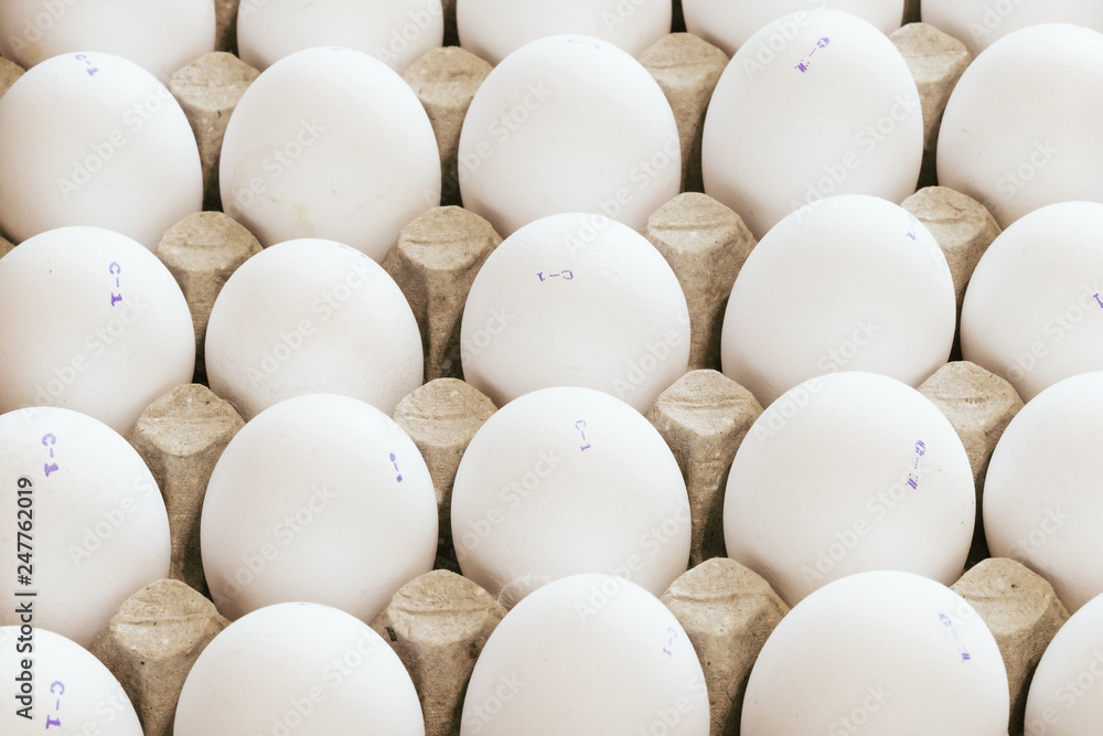 Ten fresh white eggs in a container, isolated on white background, top view. Ten fresh white eggs in a container, isolated on white background, top view.