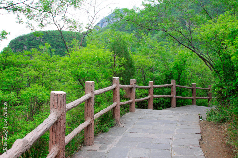 yuntai mountain scenic spot scenery, jiaozuo city, China.