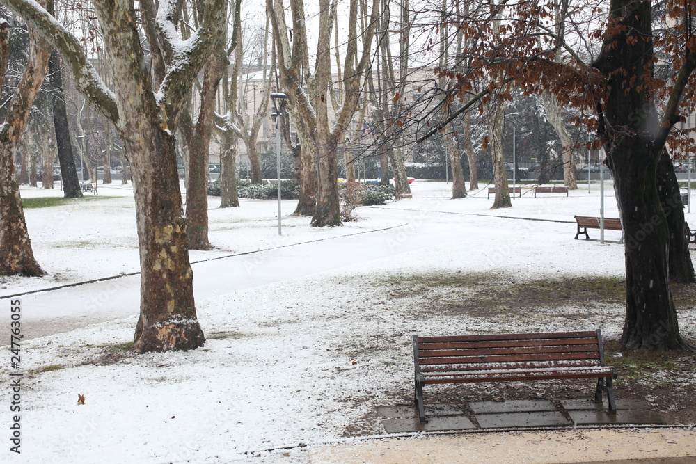 bench with snow in a cold day in a city park