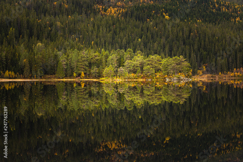 Autumn in Bymarka area in Trondheim, Norway. Beautiful reflections on the lake,