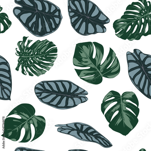 Vector Tropic Seamless Pattern. Philodendron and Alocasia Leaves. Hand Drawn Jungle Foliage in Watercolor Style. Exotic Background. Seamless Tropic Leaf for Textile, Cloth, Fabric, Decoration, Paper.