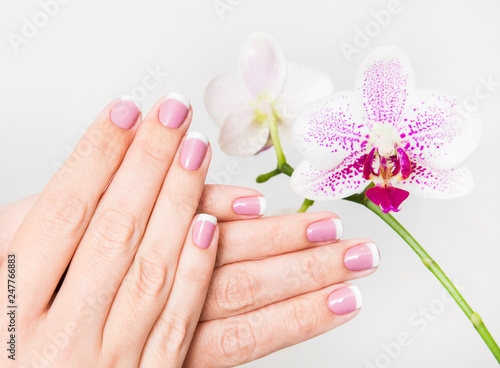 Beautiful french white and pink manicure. Woman holding beautiful hands near orchid flower isolated on white background. Horizontal color photography.