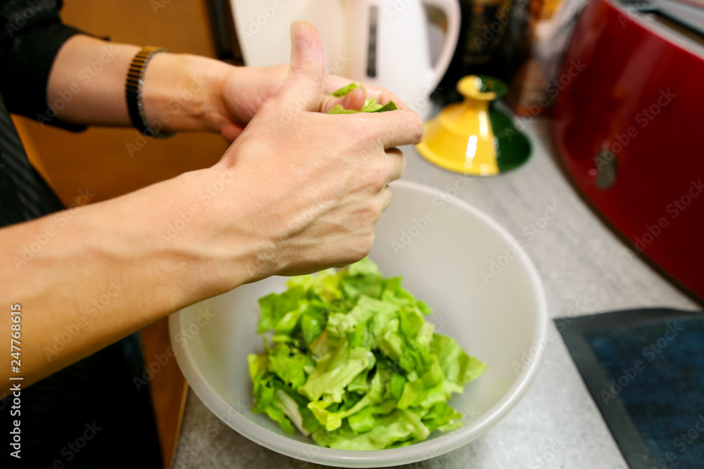 Close up of female hands and woman preparing green salad, cooking in kitchen. Housewife slicing and prepared fresh salad. Chef cutting greens in plastic bowl. Vegetarian and healthy cooking concept.